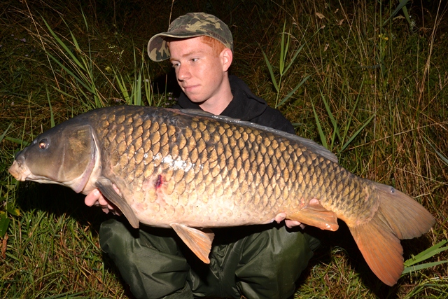 Kapr 10kg